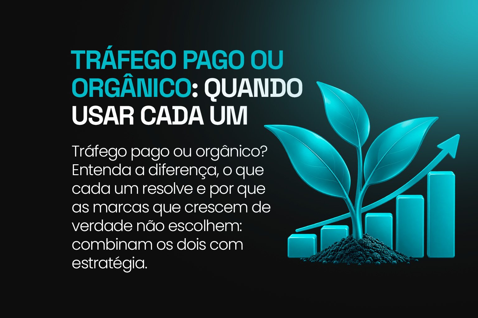Tráfego pago ou orgânico: planta crescendo sobre gráfico de barras em alta